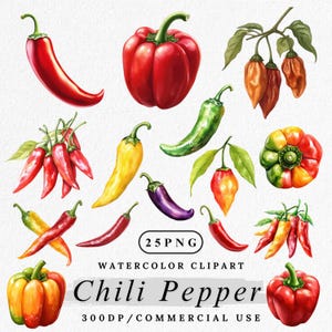 Watercolor Chili Pepper Clipart: Spicy Food PNG Graphics (Digital Download)