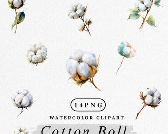 Watercolor Cotton Clipart: Farmhouse Floral PNG Graphics (Digital Download)