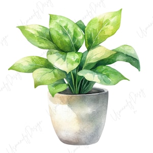 Puede incluir: Ilustración en acuarela de una planta en maceta con hojas grandes y verdes vibrantes. La planta está en una maceta gris texturizada. Las hojas tienen un efecto acuarela con tonos verdes claros y oscuros.