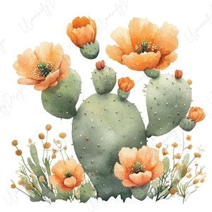 May include: Watercolor illustration of a cactus with orange flowers. The cactus is a light green color, and the flowers have a detailed texture. The image has a white background and includes small yellow flowers and green leaves.