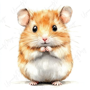 Op de afbeelding: Waterverfillustratie van een hamster met oranje en witte vacht, grote zwarte ogen en een roze neus. De hamster is afgebeeld met zijn pootjes tegen elkaar, wat een schattige en vriendelijke uitstraling creëert. De achtergrond is effen wit.
