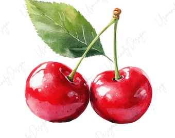 18 Watercolor Cherry Clipart, Red Cherry PNG, Summer Fruit, Fresh Berry Art, Junk Journal, Paper Craft, Scrapbook Stickers, High Quality PNG