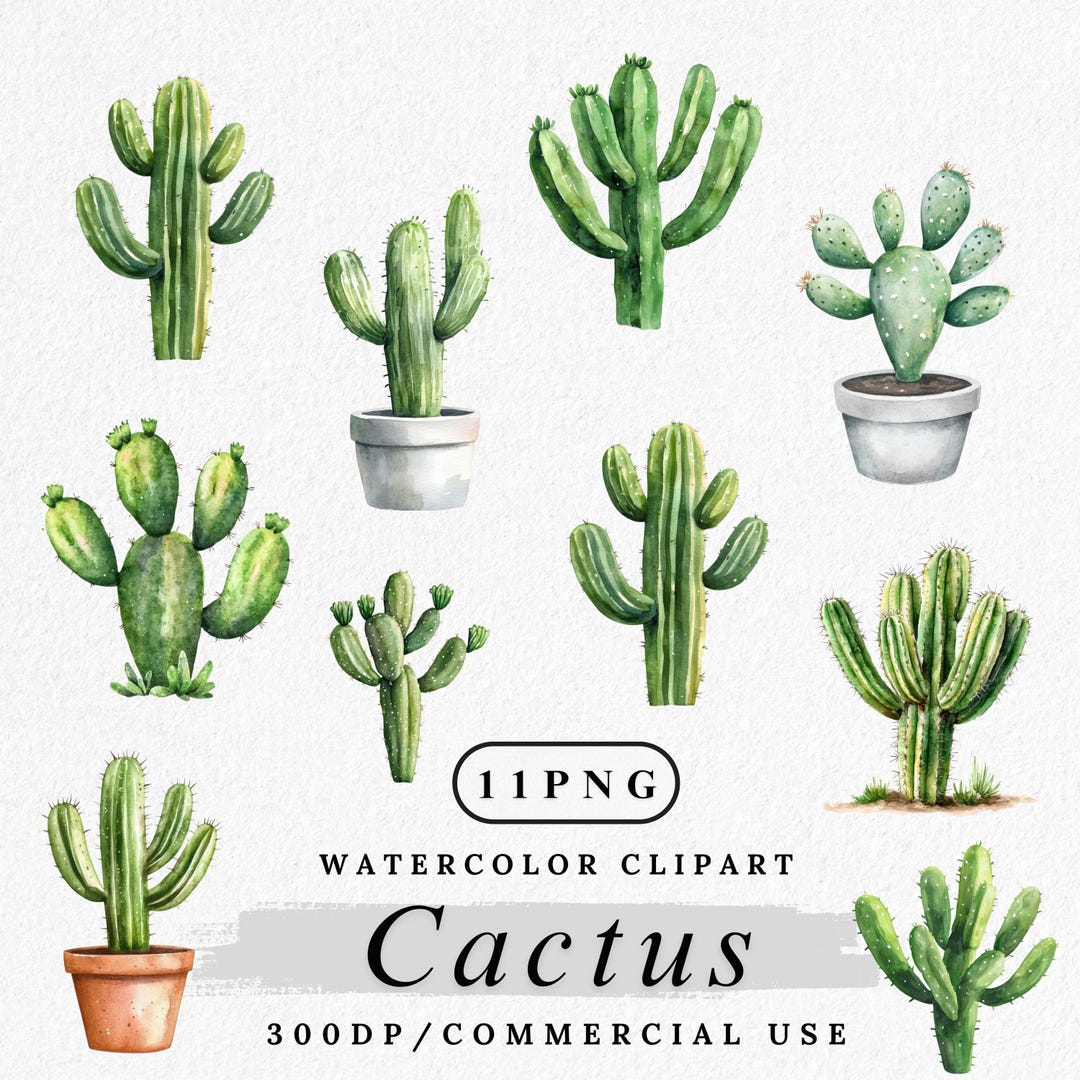 Watercolor Cactus Clipart: Boho Succulent PNG Graphics (digital ...
