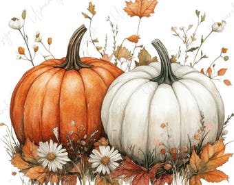 15 Watercolor Pumpkin Clipart, Fall Pumpkin PNG Bundle, Autumn Floral Pumpkins, Thanksgiving Decor, Paper Craft, High Quality PNGs