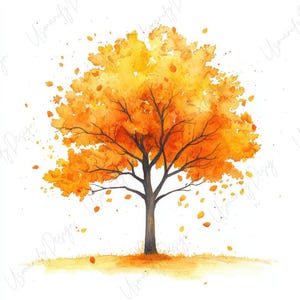 Peut inclure: Peinture à l'aquarelle d'un arbre en automne. Le tronc et les branches sont gris foncé, avec des feuilles orange et jaunes vibrantes. Des feuilles tombent, et le sol est peint dans des tons de jaune et d'orange.