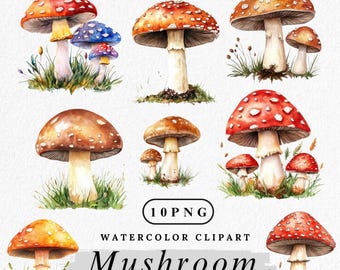 Aquarell Pilz Clipart: Cottagecore Waldpilze (Digitaler Download, 10 PNGs