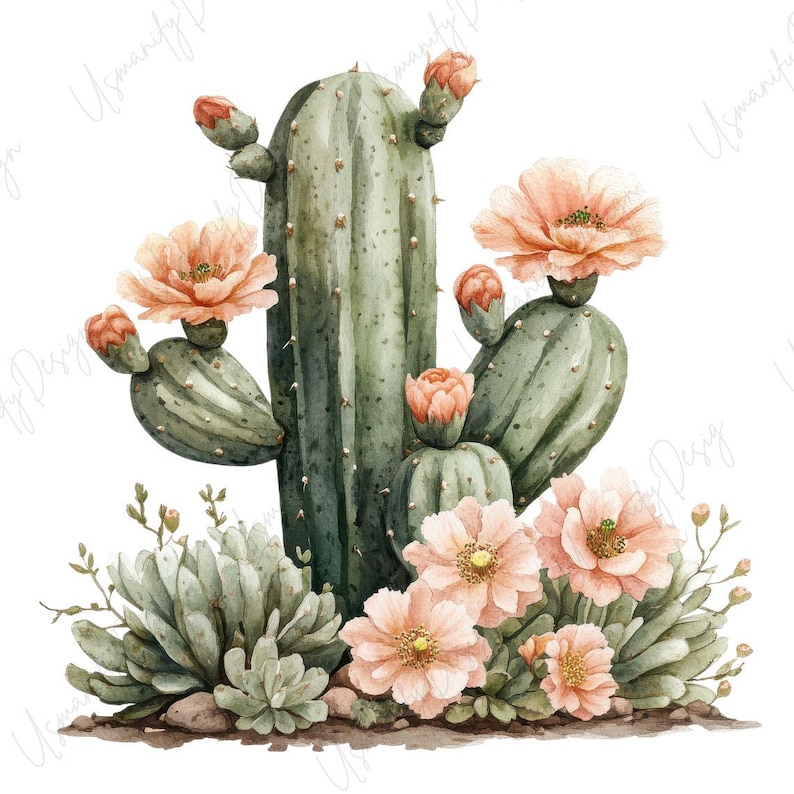 May include: Watercolor illustration of a cactus with peach-colored flowers and buds. The cactus is a light green color with darker green spines. Succulents and small rocks are at the base of the cactus.