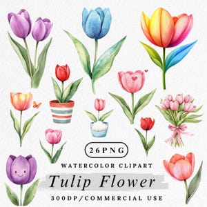 Tulip Clipart, Watercolor Tulip PNG, Spring Flower Clip Art, Floral art, Digital Flower PNG, Garden Flower Clipart, Paper Crafting