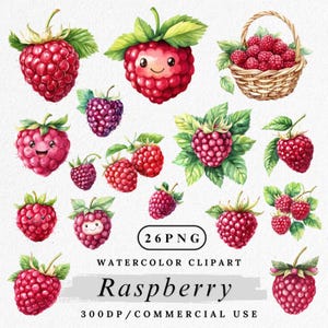 Puede incluir: Ilustración en acuarela de frambuesas rojas con hojas verdes. Algunas frambuesas tienen caras sonrientes. También se incluye una cesta de frambuesas. El texto incluye "26 PNG", "Watercolor Clipart", "Raspberry" y "300DP/COMMERCIAL USE".