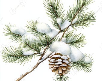 29 Snowy Pine Branch Clipart, Winter Greenery Watercolor, Botanical Art, Nature Decor, Junk Journal, Printable Download, High-Quality JPGs