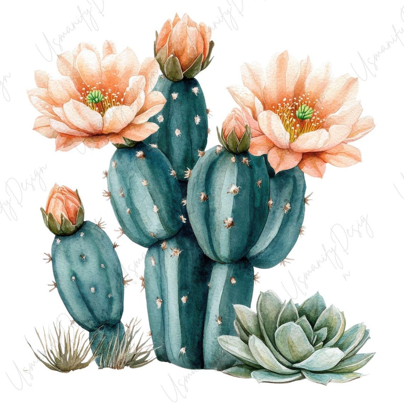 May include: Watercolor illustration of a teal cactus with peach-colored flowers and a small succulent. The cactus has multiple pads and is adorned with delicate blooms and buds. The artwork has a soft, artistic style.