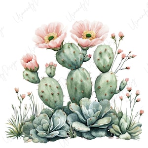 May include: Watercolor illustration of a desert scene featuring cacti and succulents. The image showcases green cacti with pink flowers and light green succulents at the base. Small pink flowers and green grass complete the design.