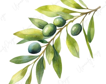 25 Watercolor Olive Branch Clipart, Olive Leaf PNG, Mediterranean Botanical, Greenery Decor Art, Junk Journal, Paper Craft, High Quality PNG