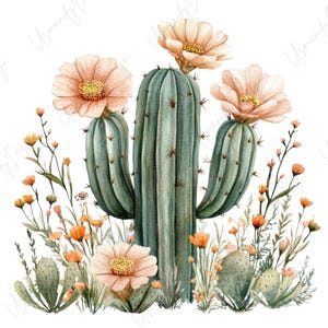 May include: Watercolor illustration of a saguaro cactus with peach-colored flowers and orange wildflowers. The cactus is a muted green color, and the flowers have yellow centers. The image has a white background and a desert theme.