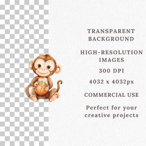 Monkey Clipart Bundle, Cute Monkey Character PNGs, Jungle Animal Clipart, Cartoon Monkey art, Kawaii Safari Animals, Watercolor Monkey PNG image 4