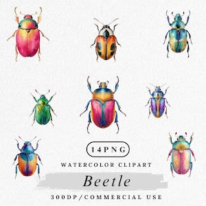 Beetle Clipart, Watercolor Insect PNG, Bug Clip Art Set, Nature Entomology, Colorful Beetle PNG, Digital Download, Scrapbook Images