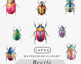 Conjunto de clipart de besouro em aquarela: imagens PNG de insetos coloridos (download digital)