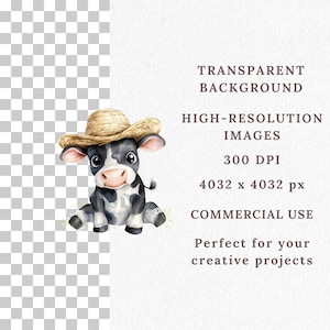 May include: A watercolor illustration of a black and white cow wearing a straw hat. The cow is sitting on a green patch of grass. The background is transparent.