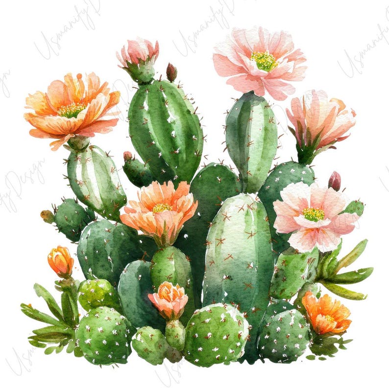 May include: Watercolor illustration of a cluster of cacti with green, orange, and pink flowers. The image features various cactus shapes and sizes, with detailed depictions of the flowers and spines. The artwork is set against a white background.