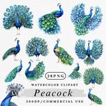 Peacock Printables