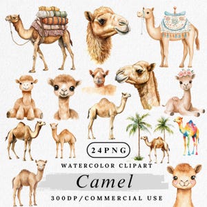 Clipart di cammello, PNG di cammello ad acquerello, Clip art di animali del deserto, Clipart di cuccioli di cammello, PNG di animali del safari, Arte di cammello boho, Clipart ad acquerello