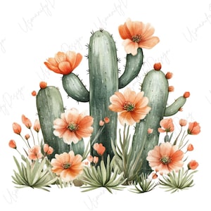 May include: Watercolor illustration of cacti with orange flowers and green foliage. The image features several tall, green cacti with spiky details, adorned with vibrant orange blossoms. The design is set against a white background, creating a desert-themed aesthetic.