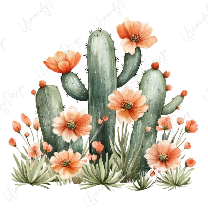 May include: Watercolor illustration of cacti with orange flowers and green foliage. The image features several tall, green cacti with spiky details, adorned with vibrant orange blossoms. The design is set against a white background, creating a desert-themed aesthetic.