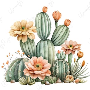 May include: Watercolor illustration of various cacti with green, peach, and yellow flowers. The image features a cluster of cacti in different shapes and sizes, with several blooming flowers and buds. The overall aesthetic is soft and natural.