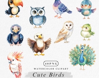 Birds Clipart png, Cute Birds watercolor, Bird Clip Art, Songbird PNG, Parrot and Sparrow PNG, Flying and Perching Birds PNG, Digital Birds