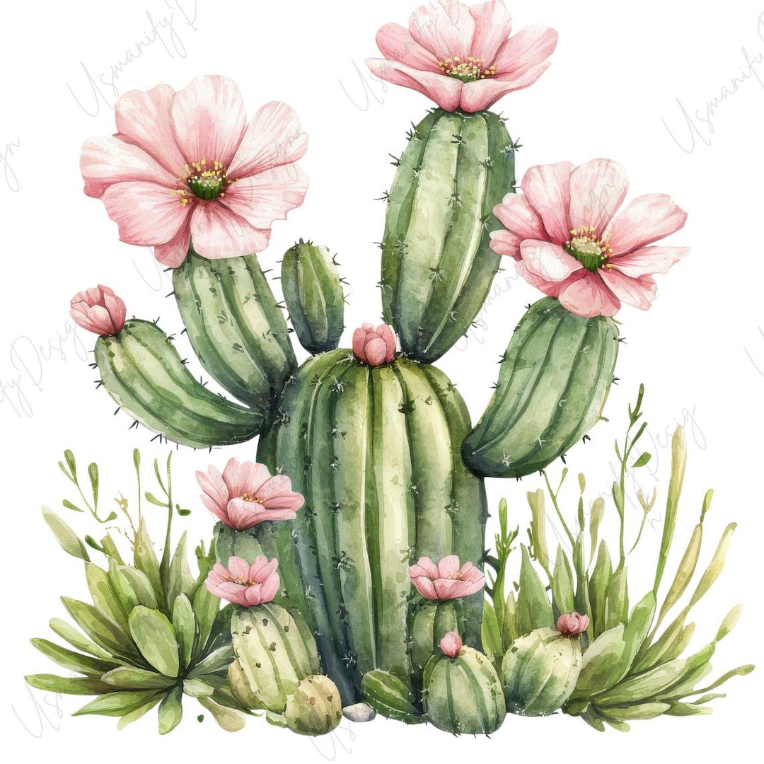 22 Watercolor Cactus Clipart PNG, Desert Floral, Boho Botanical PNG Set ...