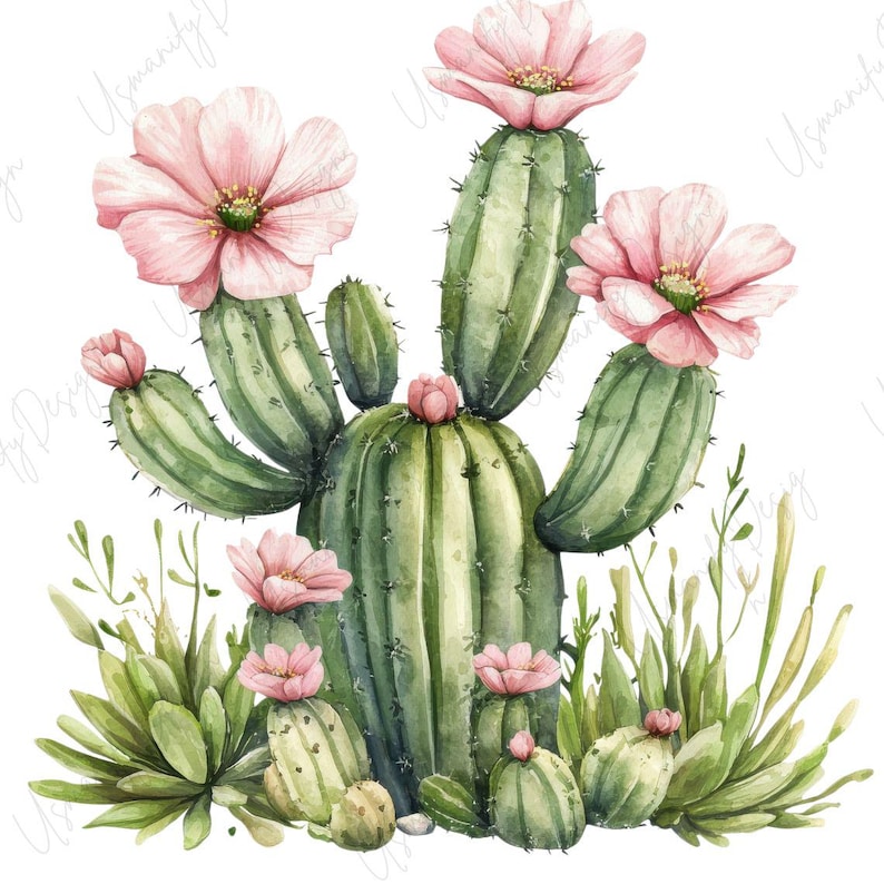 May include: Watercolor illustration of a cactus with pink flowers and green foliage. The cactus has multiple arms and is surrounded by smaller cacti and succulents. The image has a white background.