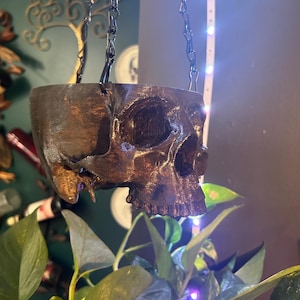 May include: A brown skull-shaped hanging planter suspended by a dark chain. The planter has a weathered, textured appearance. Green leafy plants are visible below the planter, creating a contrast with the skull's dark color.