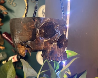 May include: A brown skull-shaped hanging planter suspended by a dark chain. The planter has a weathered, textured appearance. Green leafy plants are visible below the planter, creating a contrast with the skull's dark color.