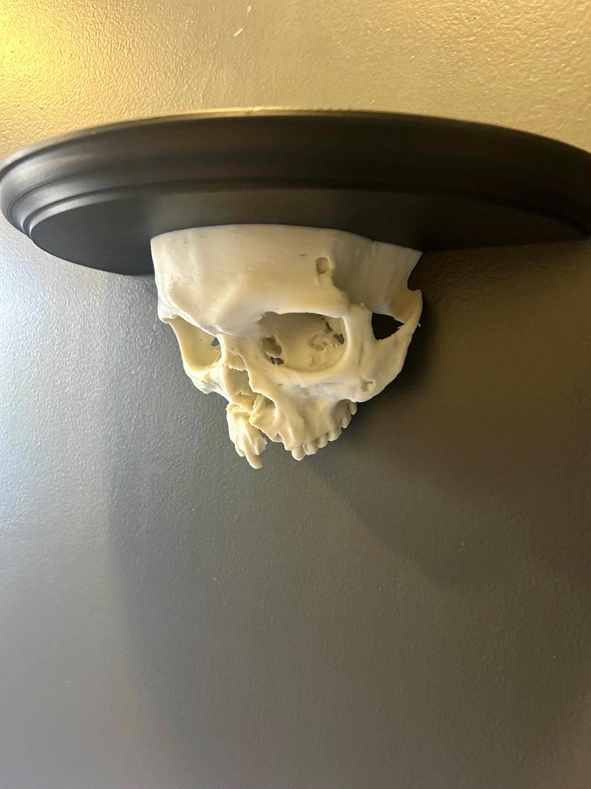 Skull Wall Shelf 