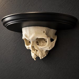 Può includere: Una mensola da parete con una piattaforma in legno nero a forma di semicerchio, sostenuta da una realistica scultura di teschio umano color bianco sporco. Il teschio è posizionato direttamente sotto il centro della mensola come supporto.