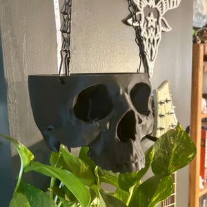 May include: A black skull-shaped hanging planter with a chain. The planter is filled with green leafy plants. The skull has detailed facial features and is suspended from a dark chain. The background includes a clock and a decorative wall hanging.