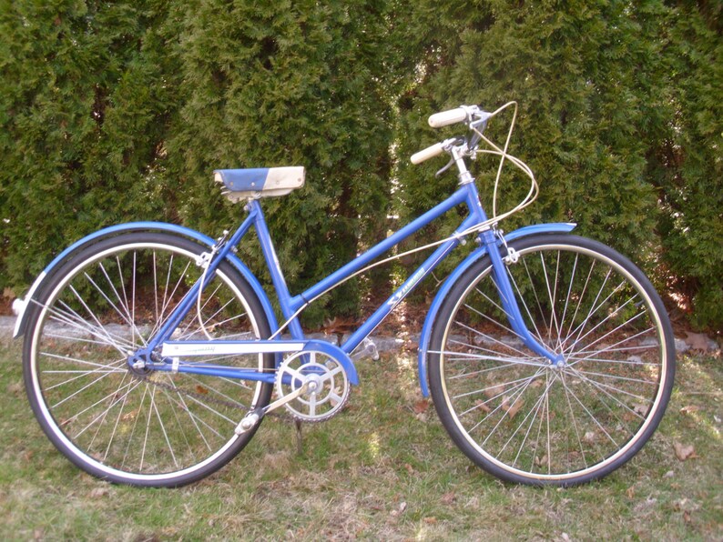 vintage skyway bicycle