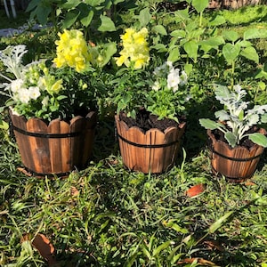 .Holz Pflanzgefäß Blumentöpfe für Outdoor & Zimmerpflanzen | Rustikale Blumentöpfe aus Holz | Terrasse Dekor | Übertopf | Einweihungsgeschenk