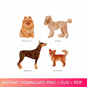 Cute Dog Breeds PNG | Pomeranian, Poodle, Doberman, Chihuahua Clipart | Pet Lover Sublimation Design | Dog Shirt Digital Download