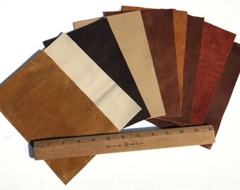 Upholstery Leather Scraps Shapes 5" x 8" 12 Pieces Import Exotic Earthtones