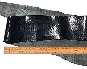 Snake skin Snakeskin Black Cobra 40+ inches long; 3 to 4 inches wide