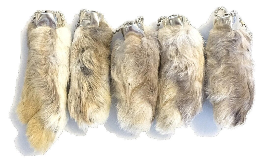 Dangerous Threads Rabbit Rabbits Foot Keychain White / Natural 5 Pcs - Etsy