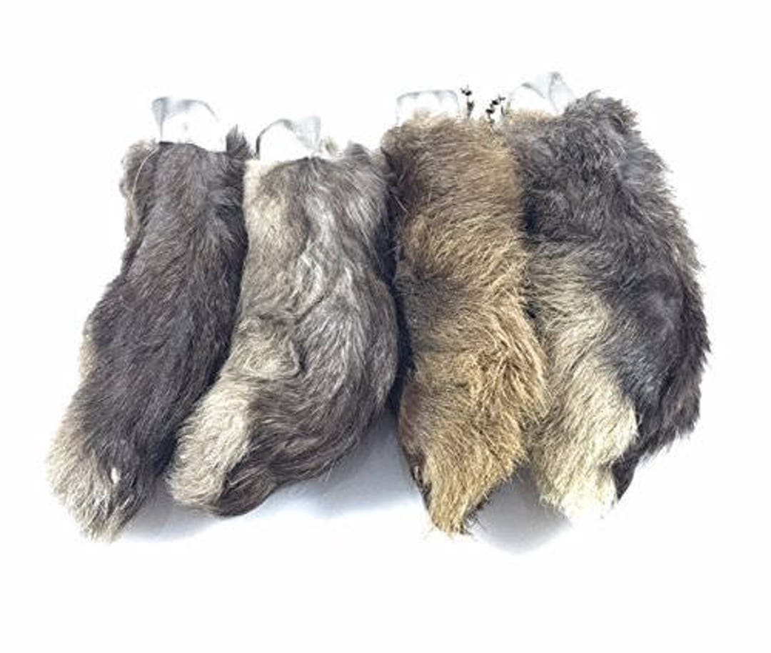 Rabbit Rabbits Foot Keychain Rare Black / Natural 4 Pcs - Etsy