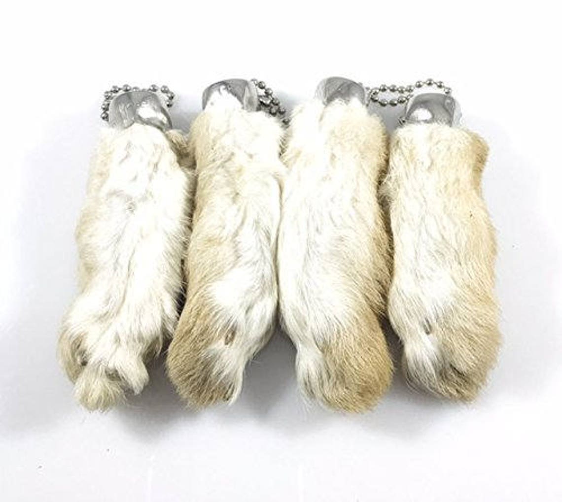Rabbit Rabbits Foot Keychain Natural Snow White 4 Pcs Etsy