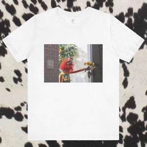 May include: White t-shirt with a colourful image of a Muppet character holding flowers. The character has red hair and is wearing a yellow and blue outfit. The background includes a door and wall.