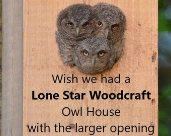 Veteran Made Best Cedar Owl House Box Screech Owls - Great Mother's Day Gift!