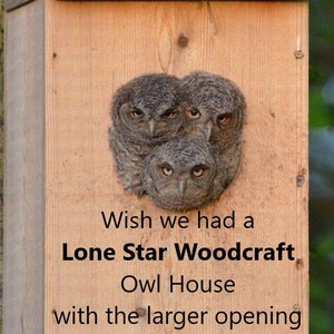 Handcrafted Cedar Owl House: Screech Owl Nesting Box, Veteran Made