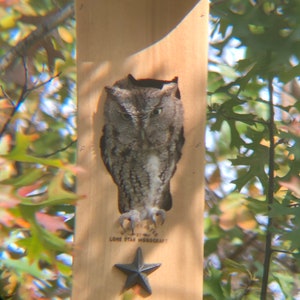 Cedar Owl House: Screech Owl Nesting Box, Handmade