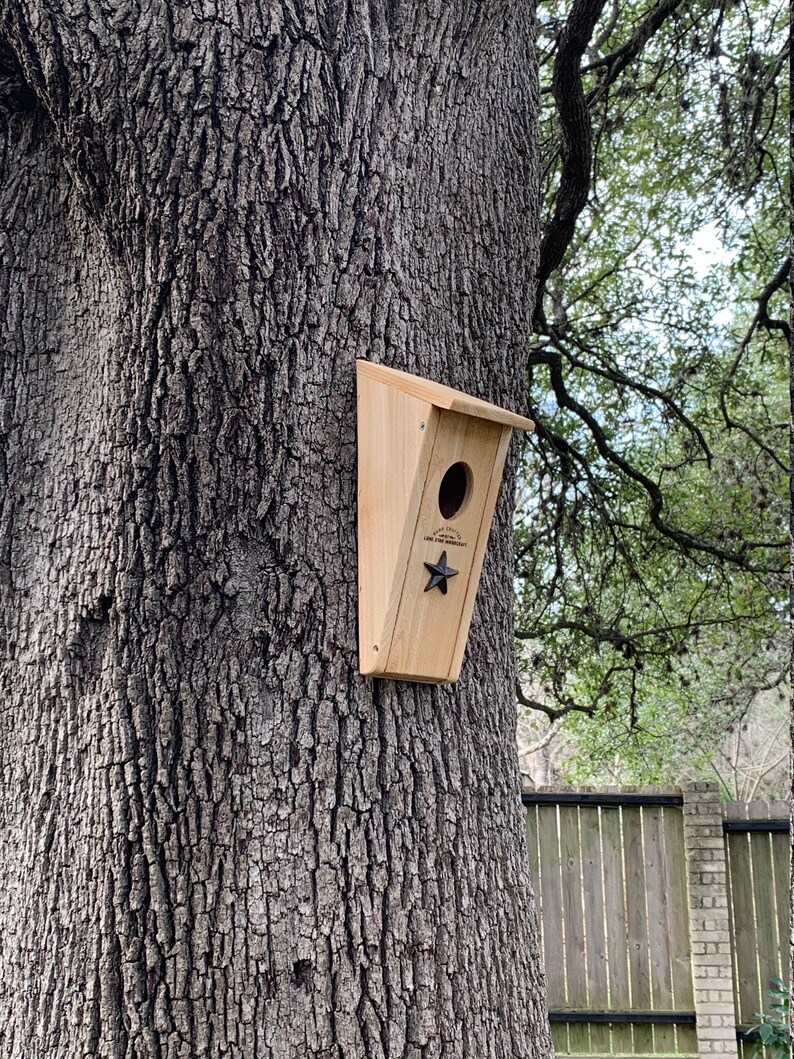 Songbird bird house oval opening Bluebird house Etsy