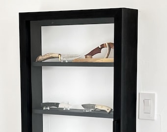 Wall Display Case Cabinet Plan DIY Instant PDF Download